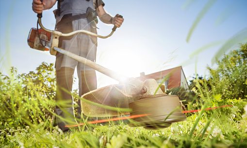 Que faire pour changer de style de jardin ?